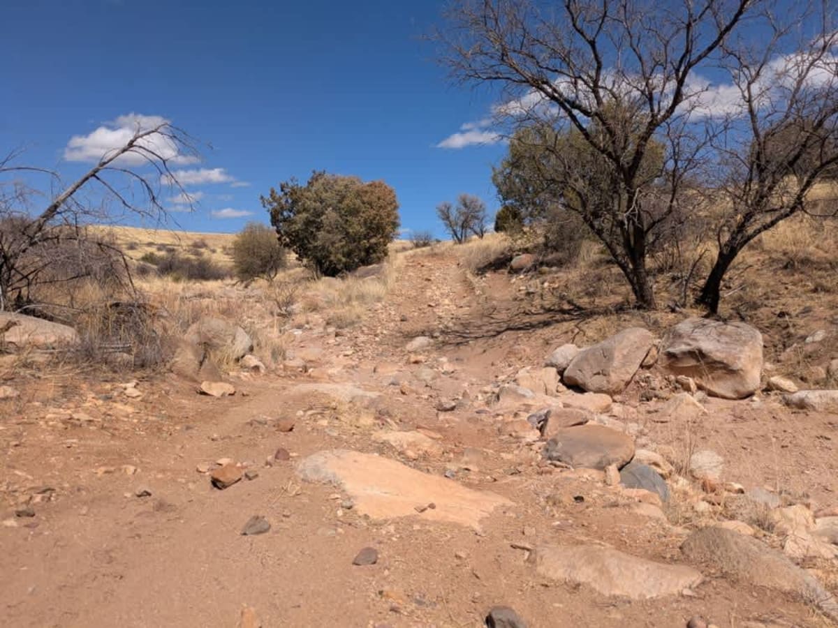 FR 6913 photo 4