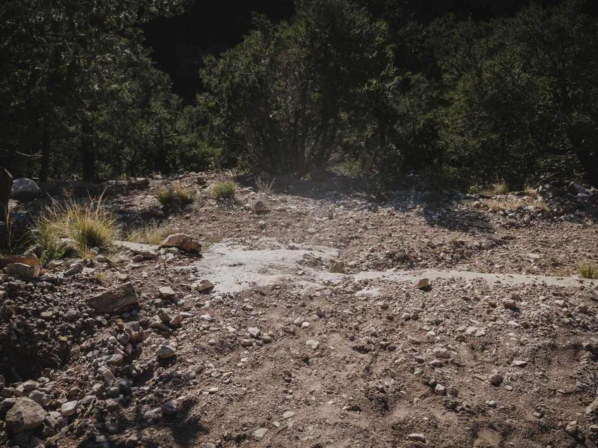 Powerline photo 6