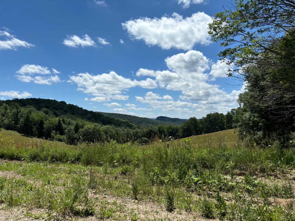 Spruce Mountain Trail photo 6