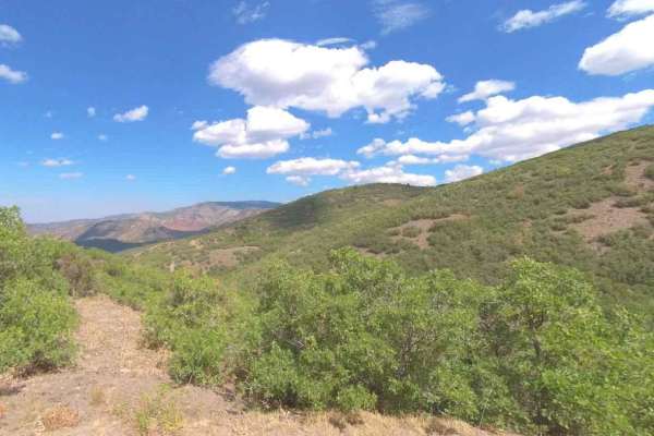 Cummings Creek Road- FS 41680