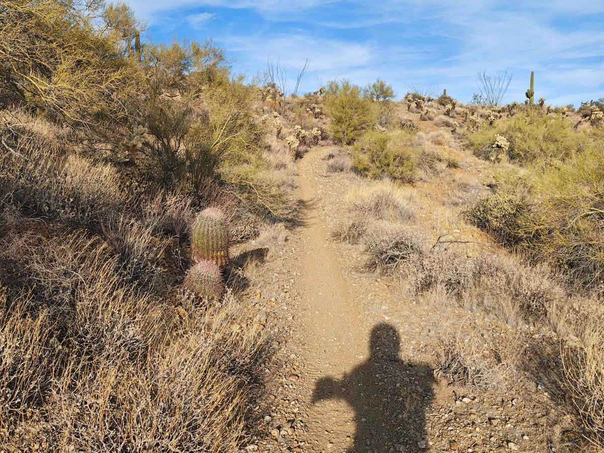 Wash Alternate - Single Track photo 2