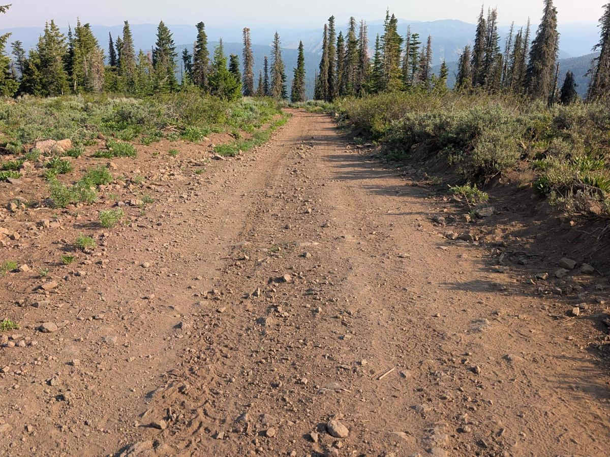 Road 3740 - Hawley Mountain Lookout photo 5