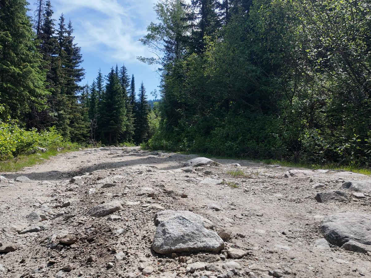 Bugle Pass trail photo