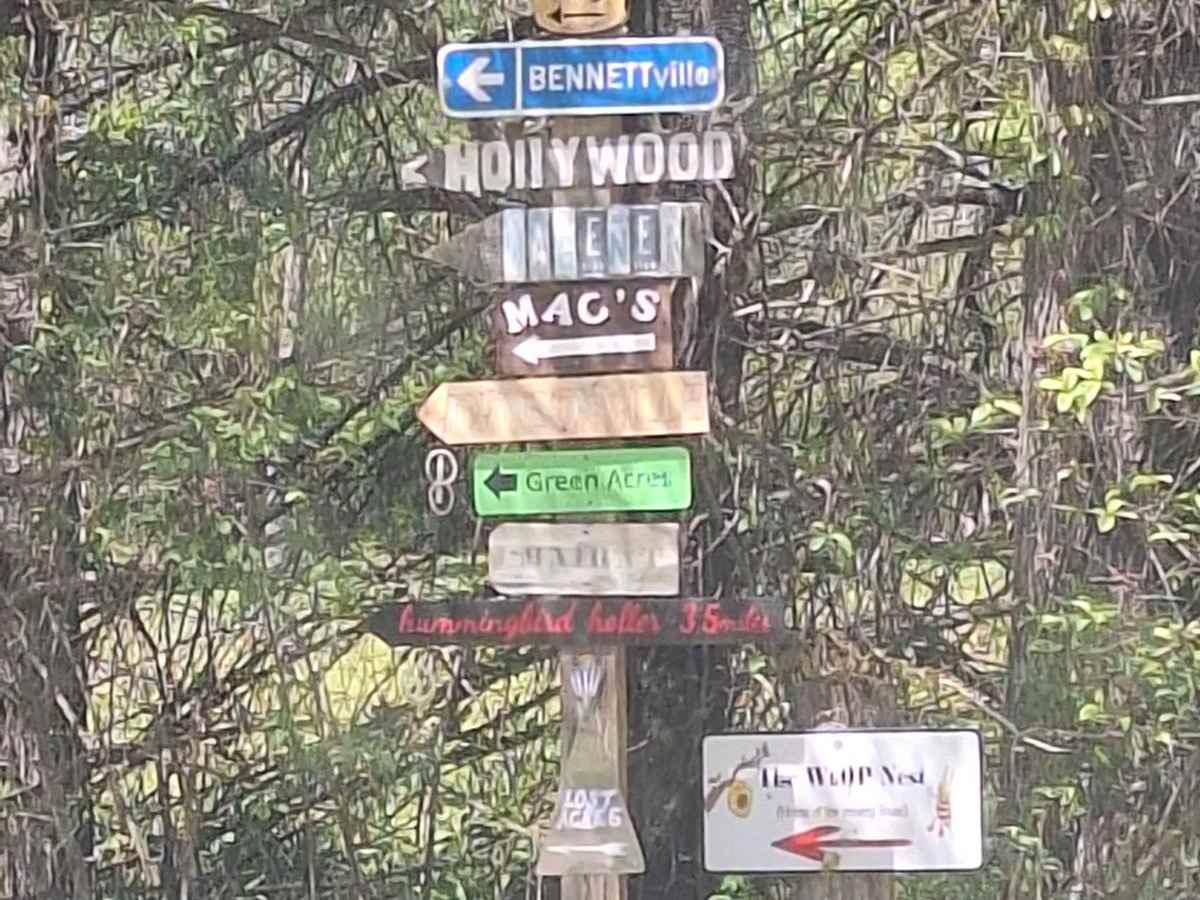 K-Bridge West trail photo