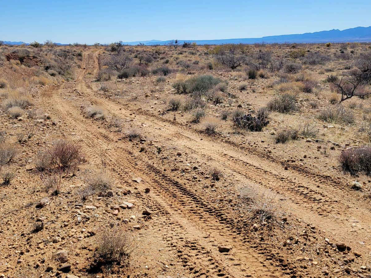 Spur Loop to Chloride AZ Peace Trail Connector (Southeast) photo 4