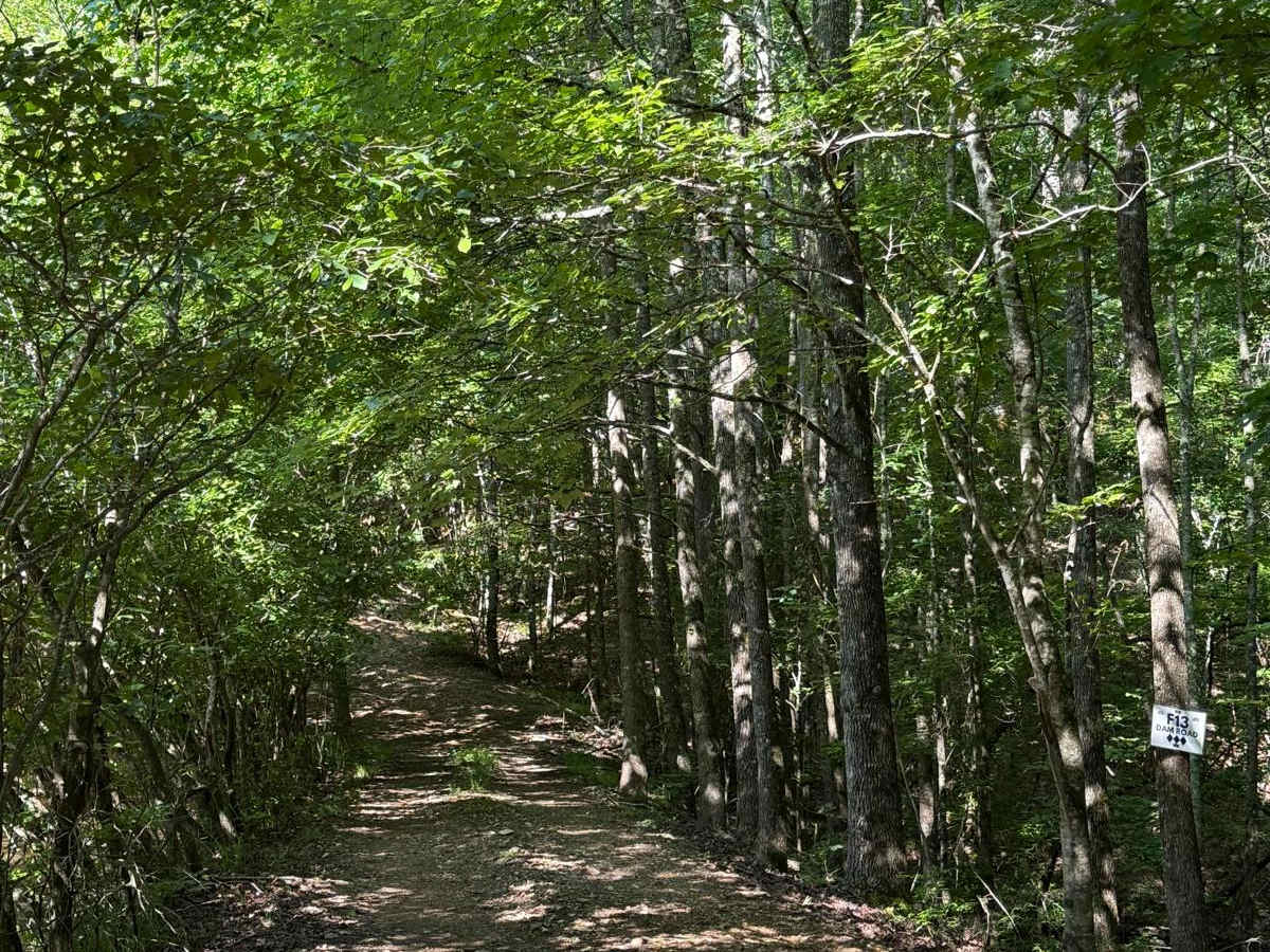 F13 Dam Road trail photo
