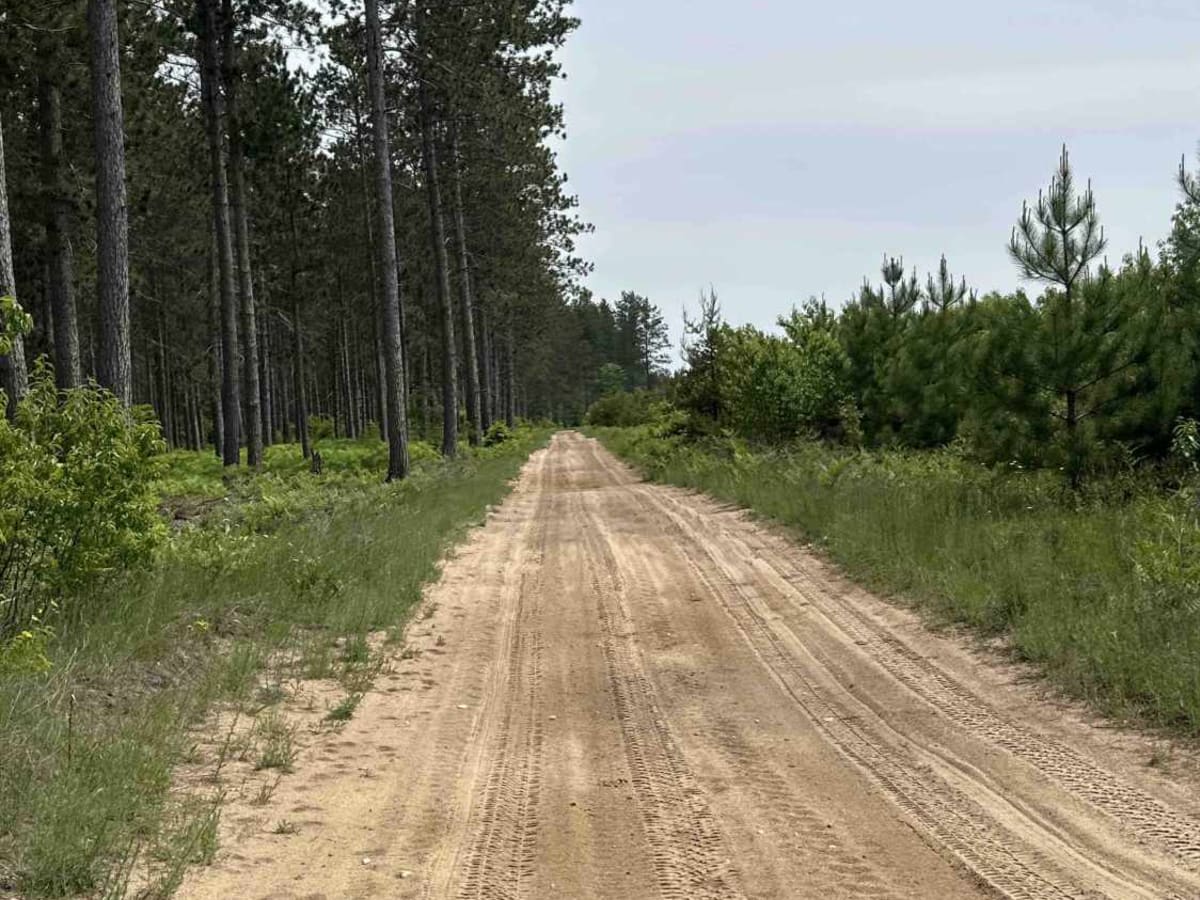 Townline photo 2