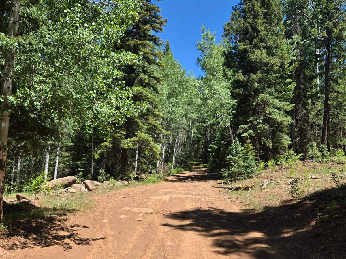 Carnero Springs Road 8556 photo 3