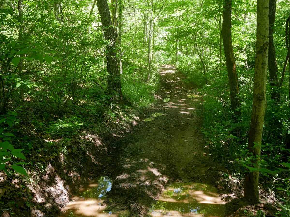 Trail 26 Razor Bypass photo 6