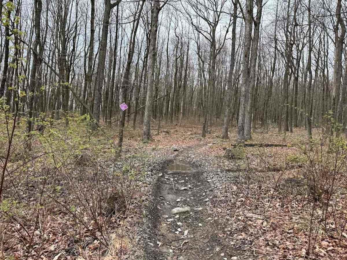 Darkwater Single Track 10 photo 5