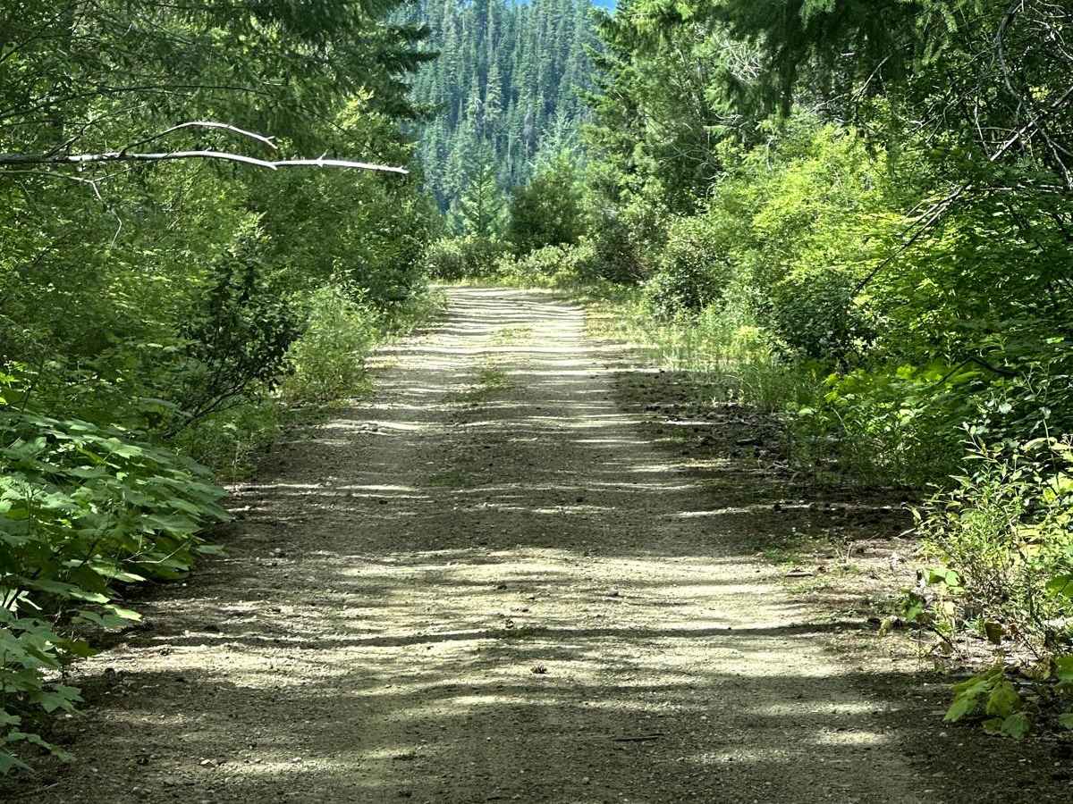 Deep Creek Loop photo 2