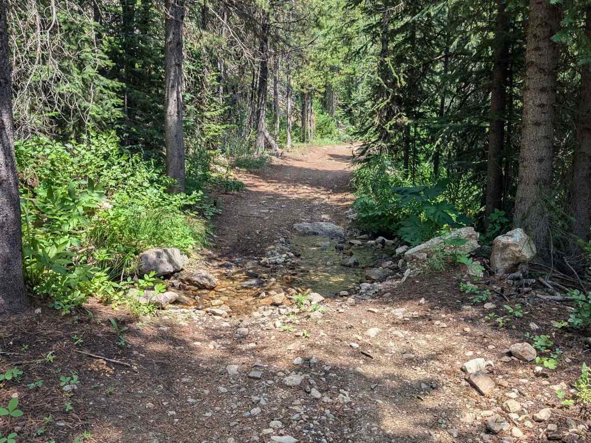 Trail 136 photo 2