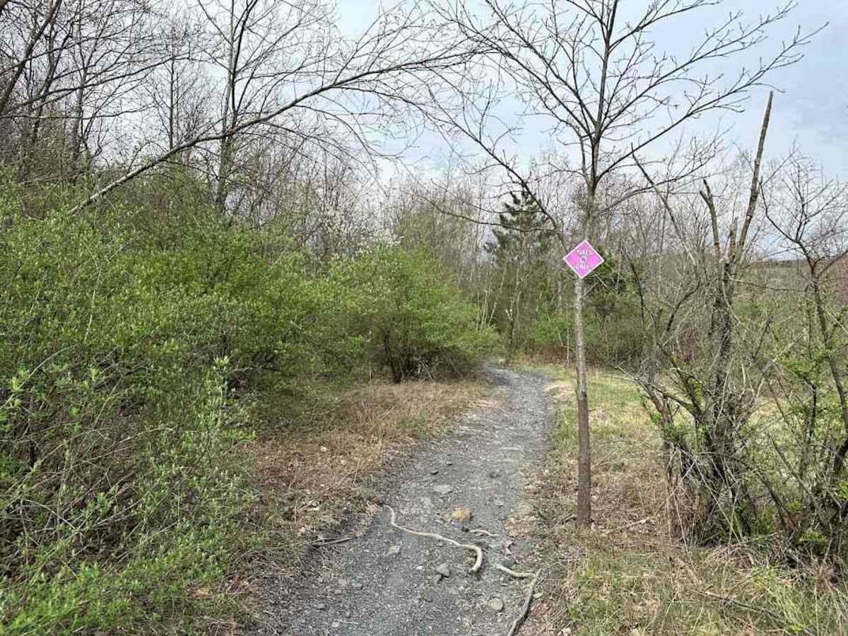 Burma Single Track 7 photo 5
