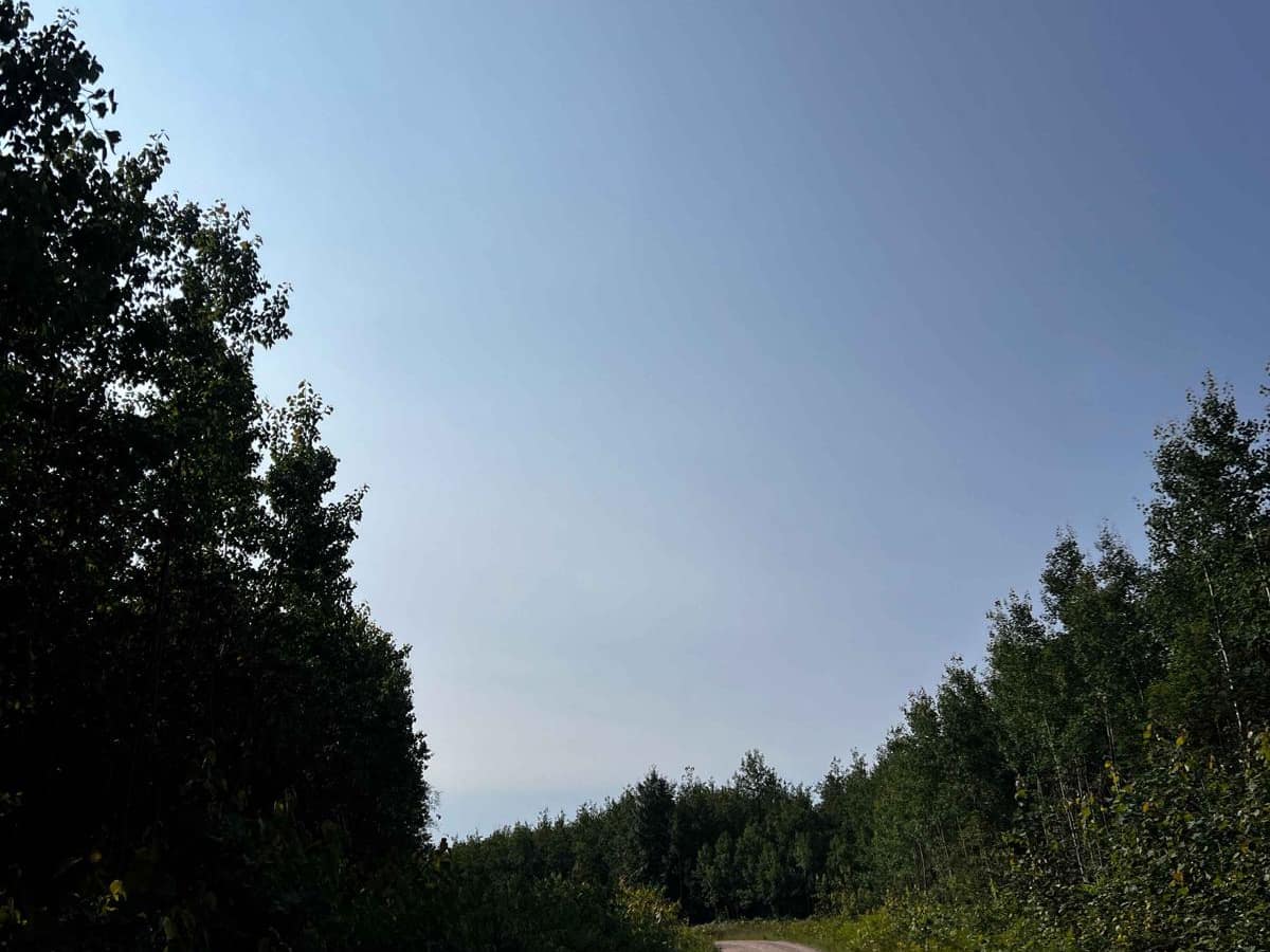 No. 8 Trail photo 2