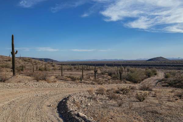 Saguaro Power
