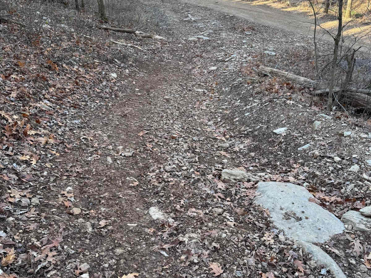 Yellow 240 trail photo