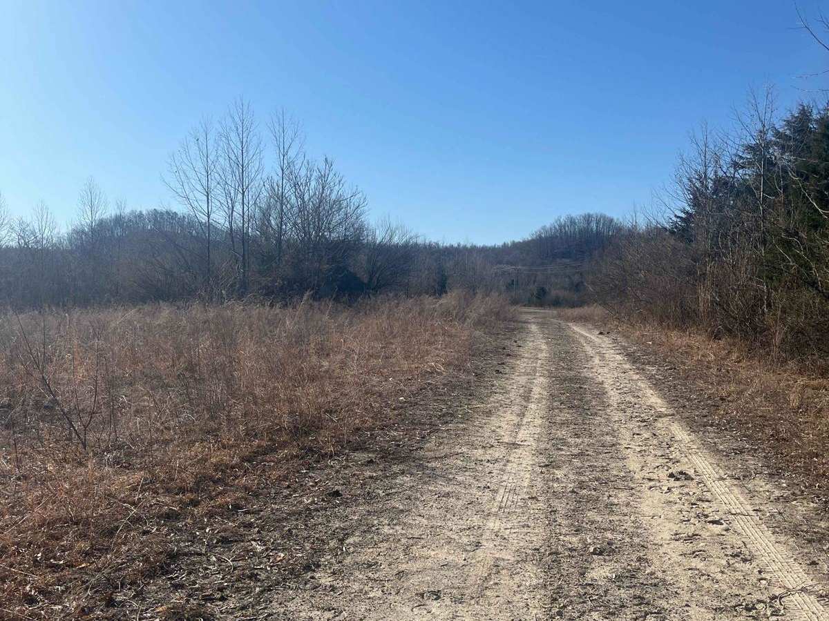 Trail 33 photo 3