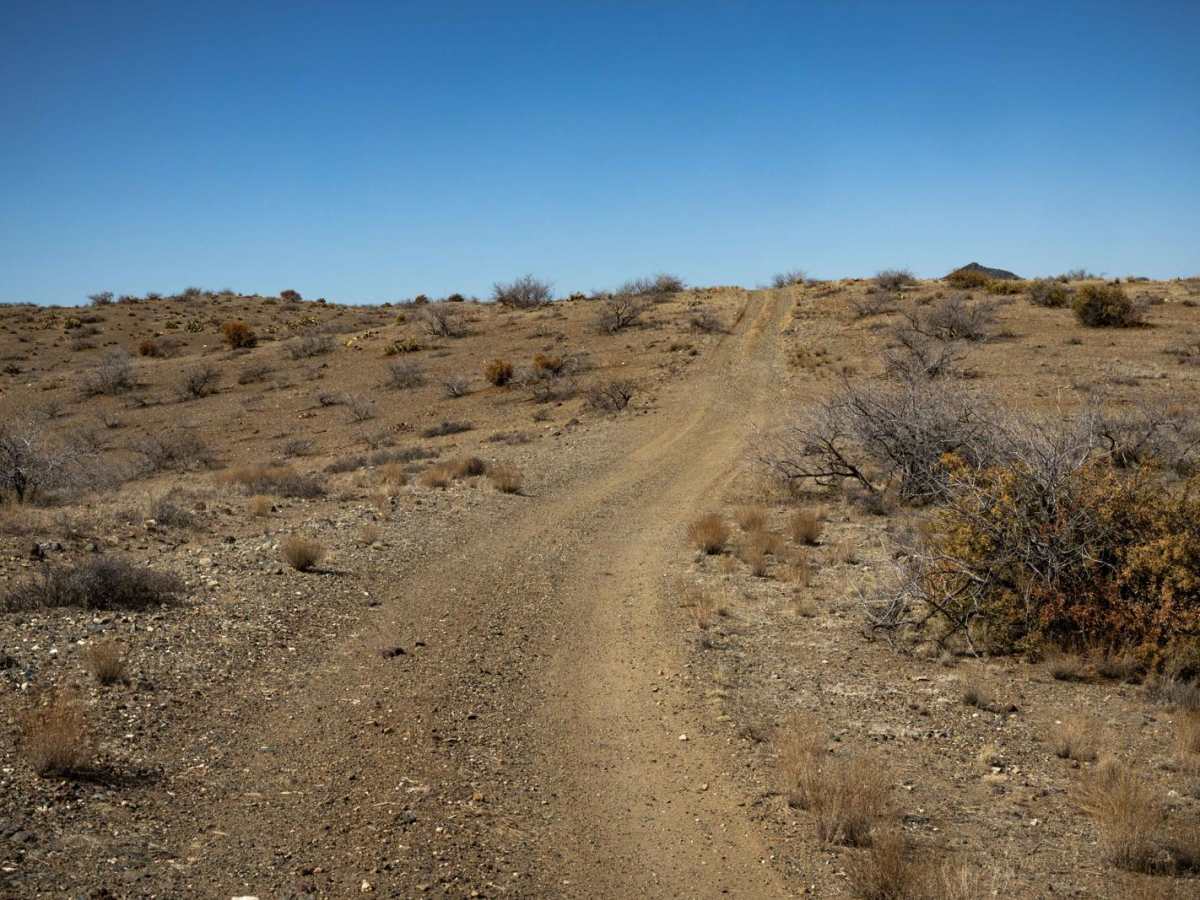 The Way Out photo 6