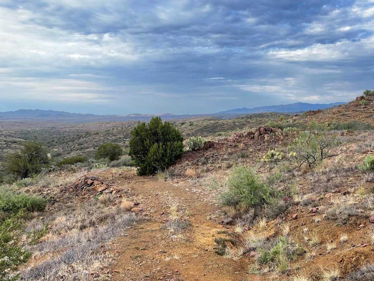 Tri-Metals Mine  photo 6