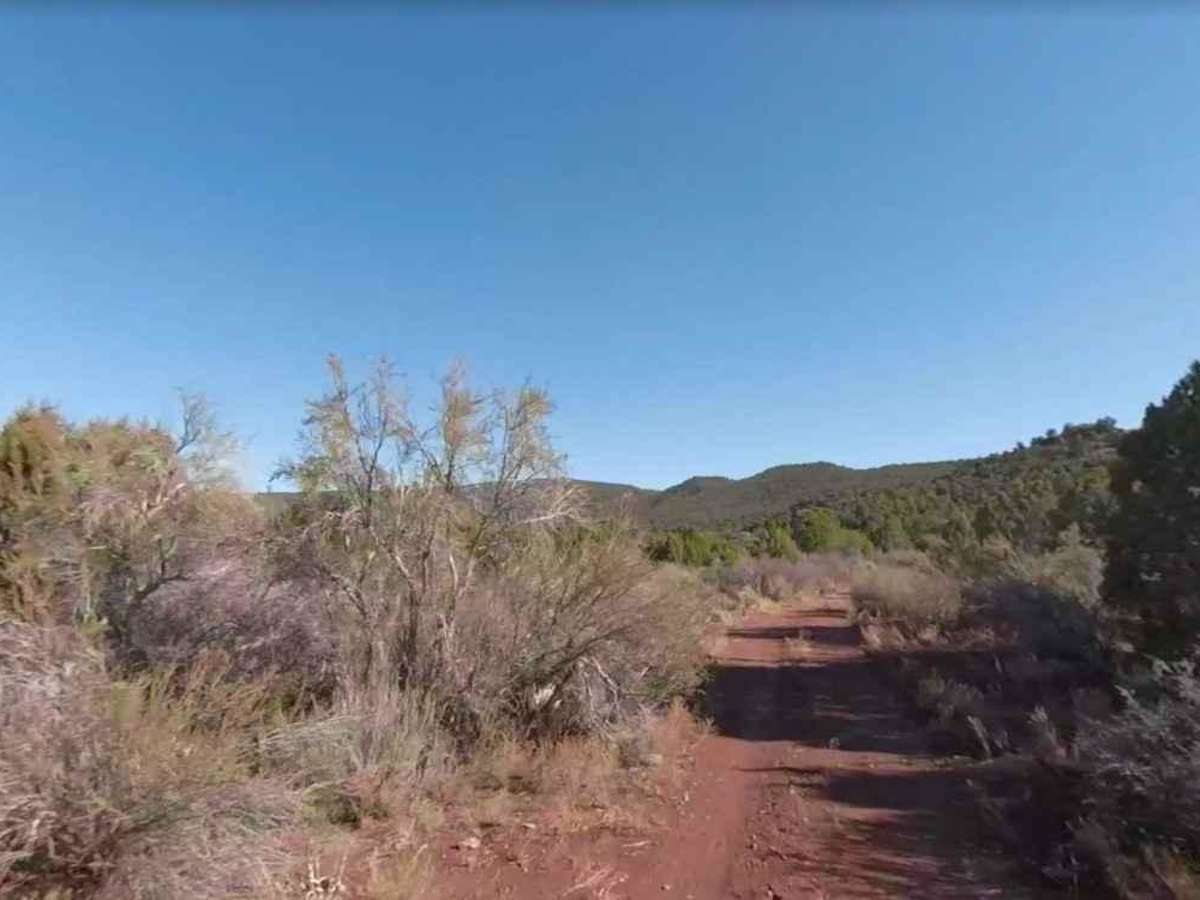 Black Rock Gulch Road-BLM1009 photo 5