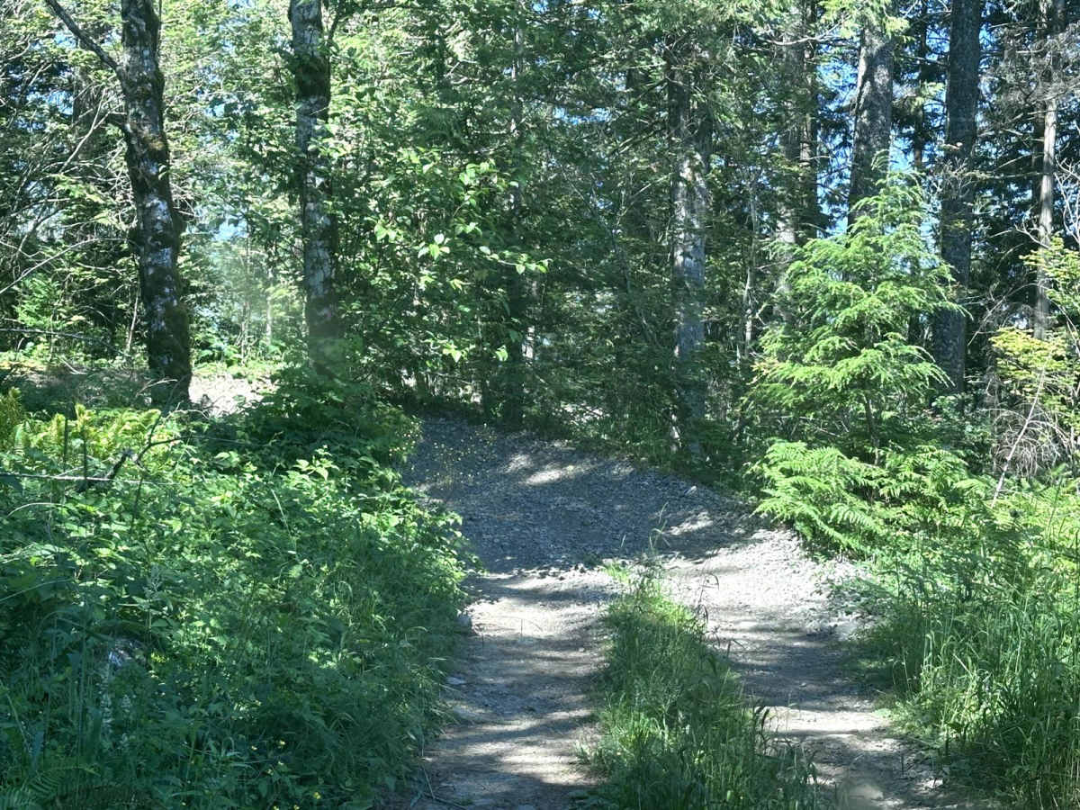 Wandering View photo 3