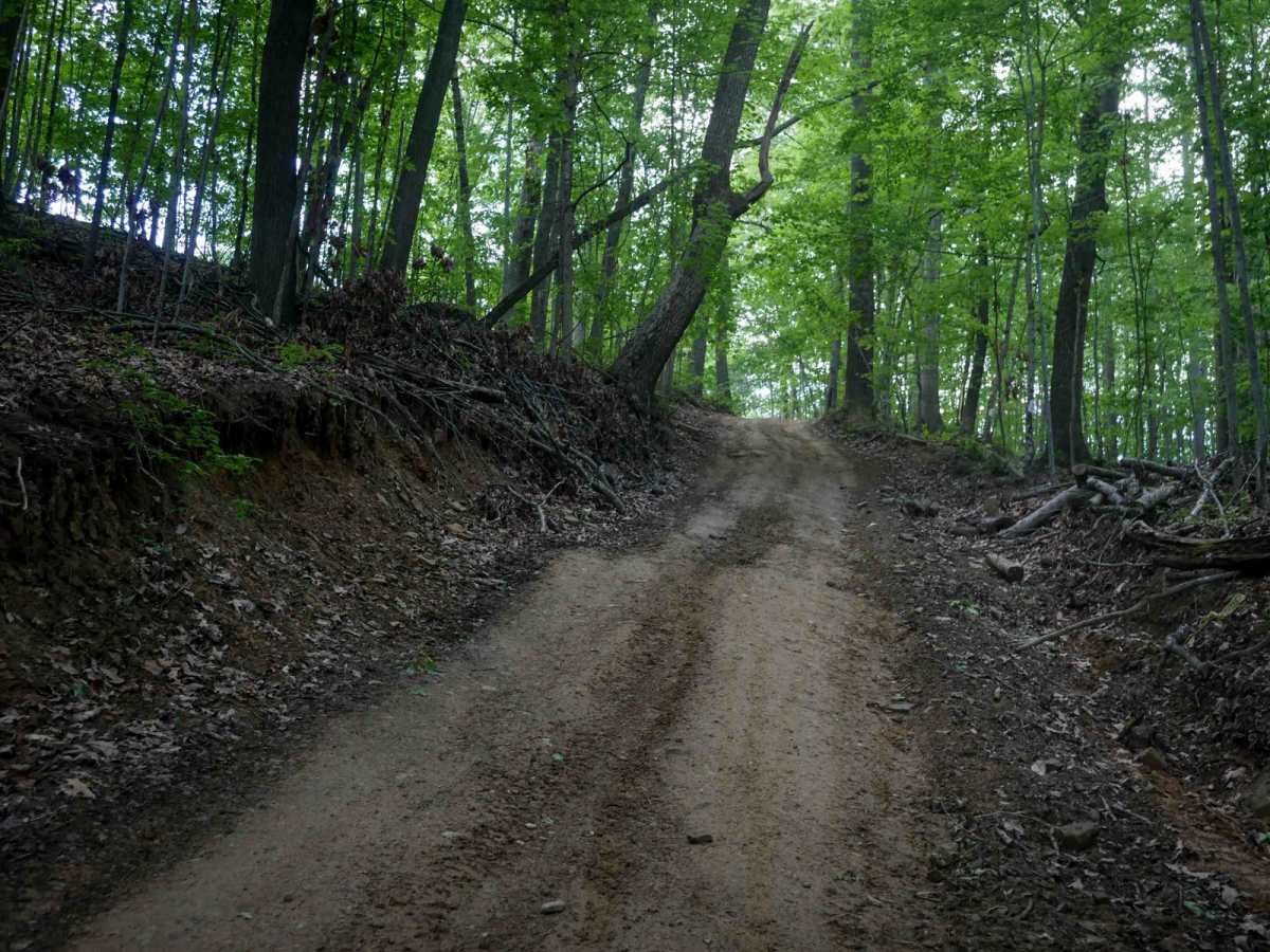 Trail 16 photo 2
