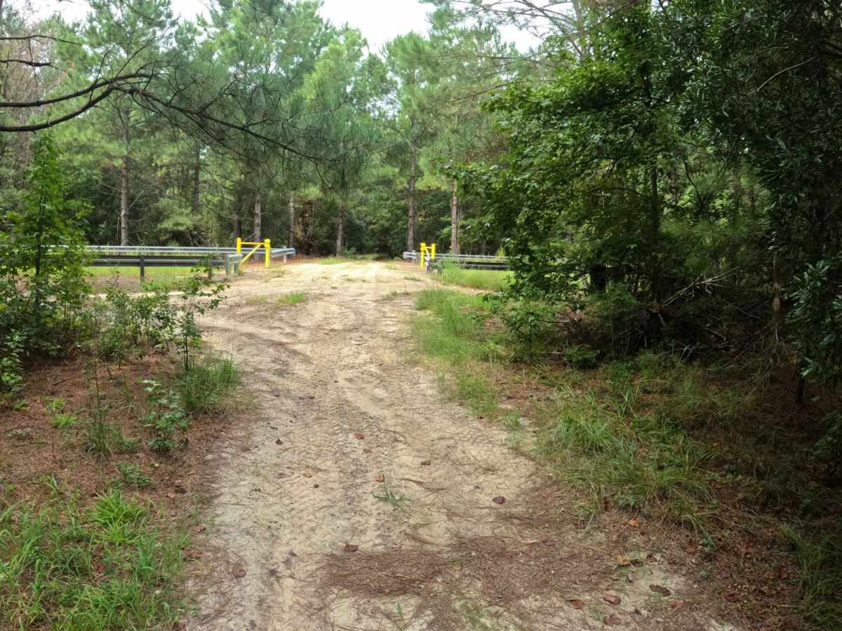 Shelby Drive photo 6