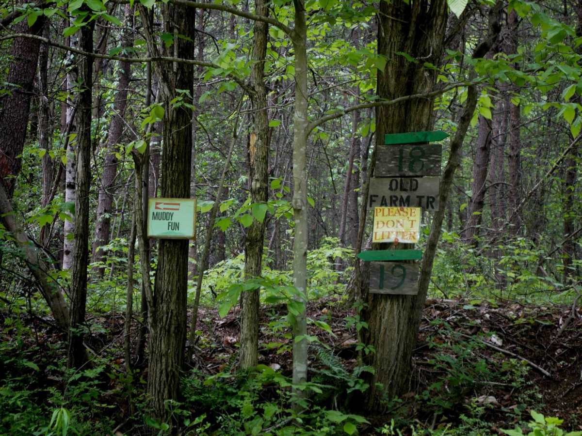 Trail 19 photo 3
