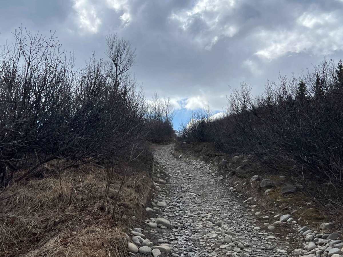 Black Diamond Peak 2 photo 4