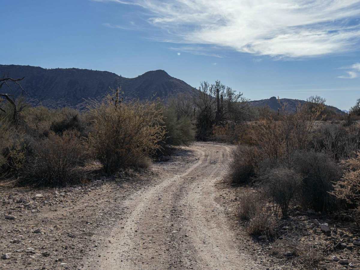 24080 Trail photo 5