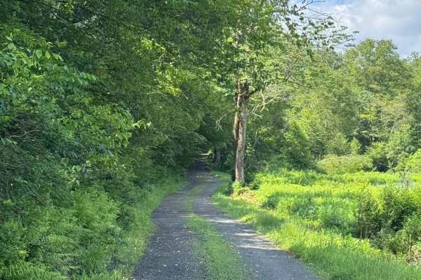 Blum Road
