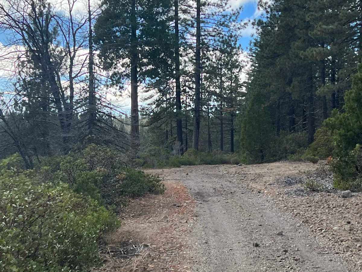 Wrights Crossing trail photo