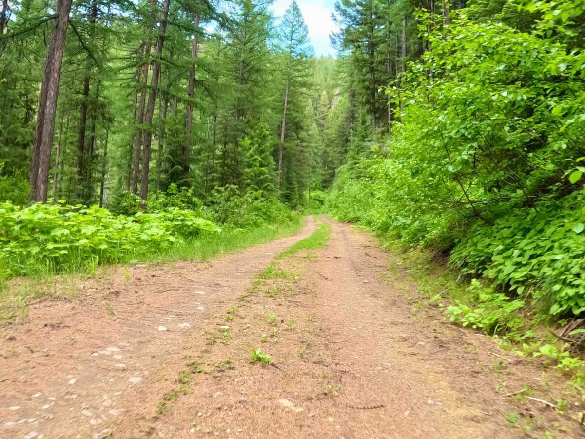 Verde Creek Road-Sunrise Road-Quartz Road photo 4