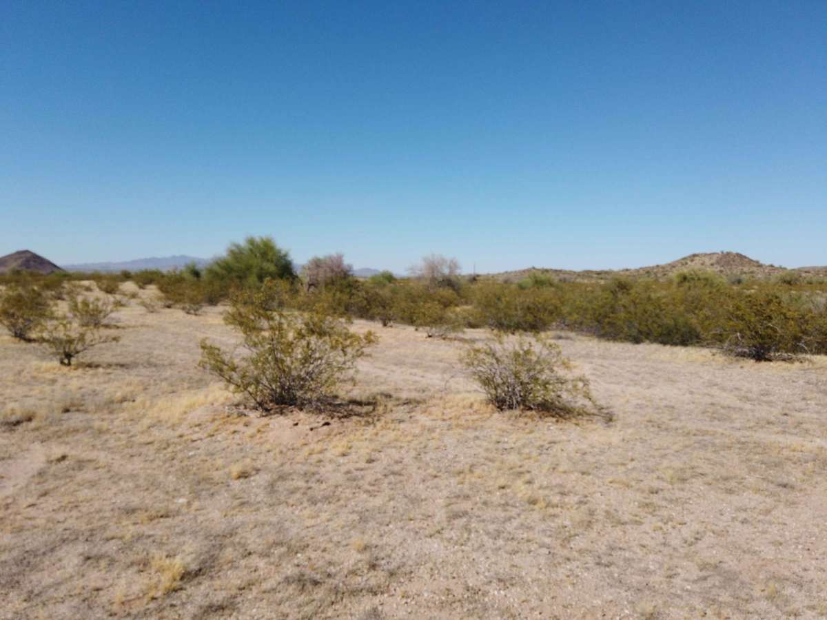 Buckeye Hills Scenic Trail photo 3