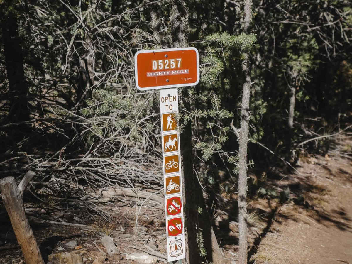 Mighty Mule trail photo