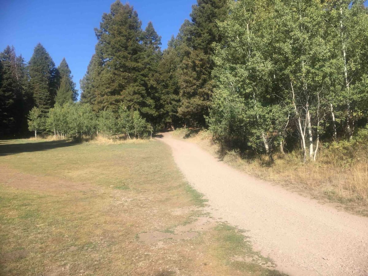 Stoddard Creek Loop Trail trail photo