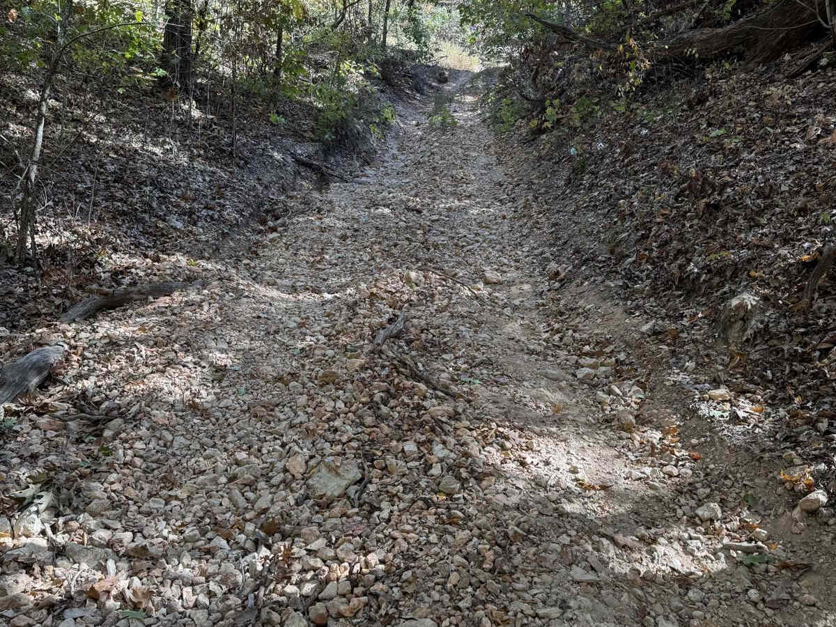 Yellow 67 trail photo