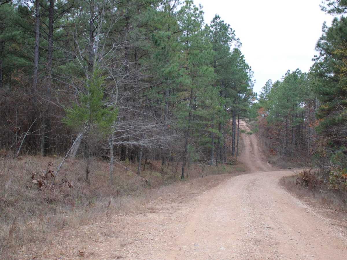 County Roads to Sour Springs trail photo