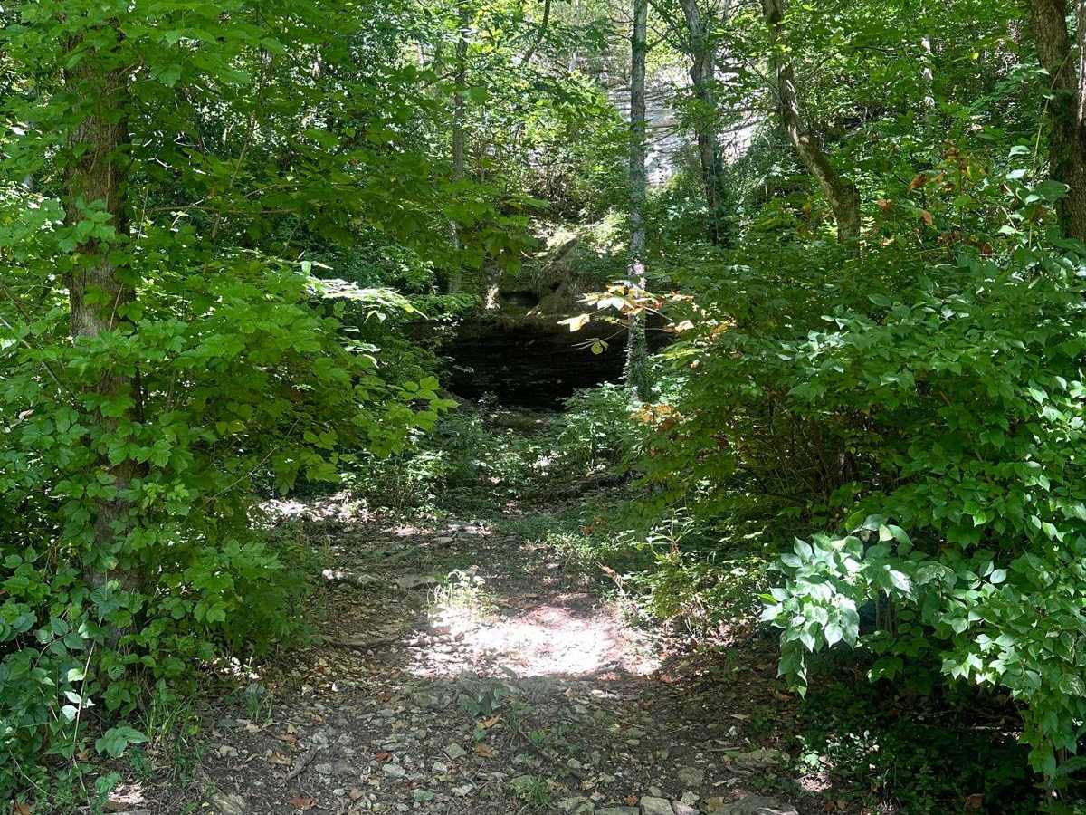 Silver Creek - Playground Area photo 4