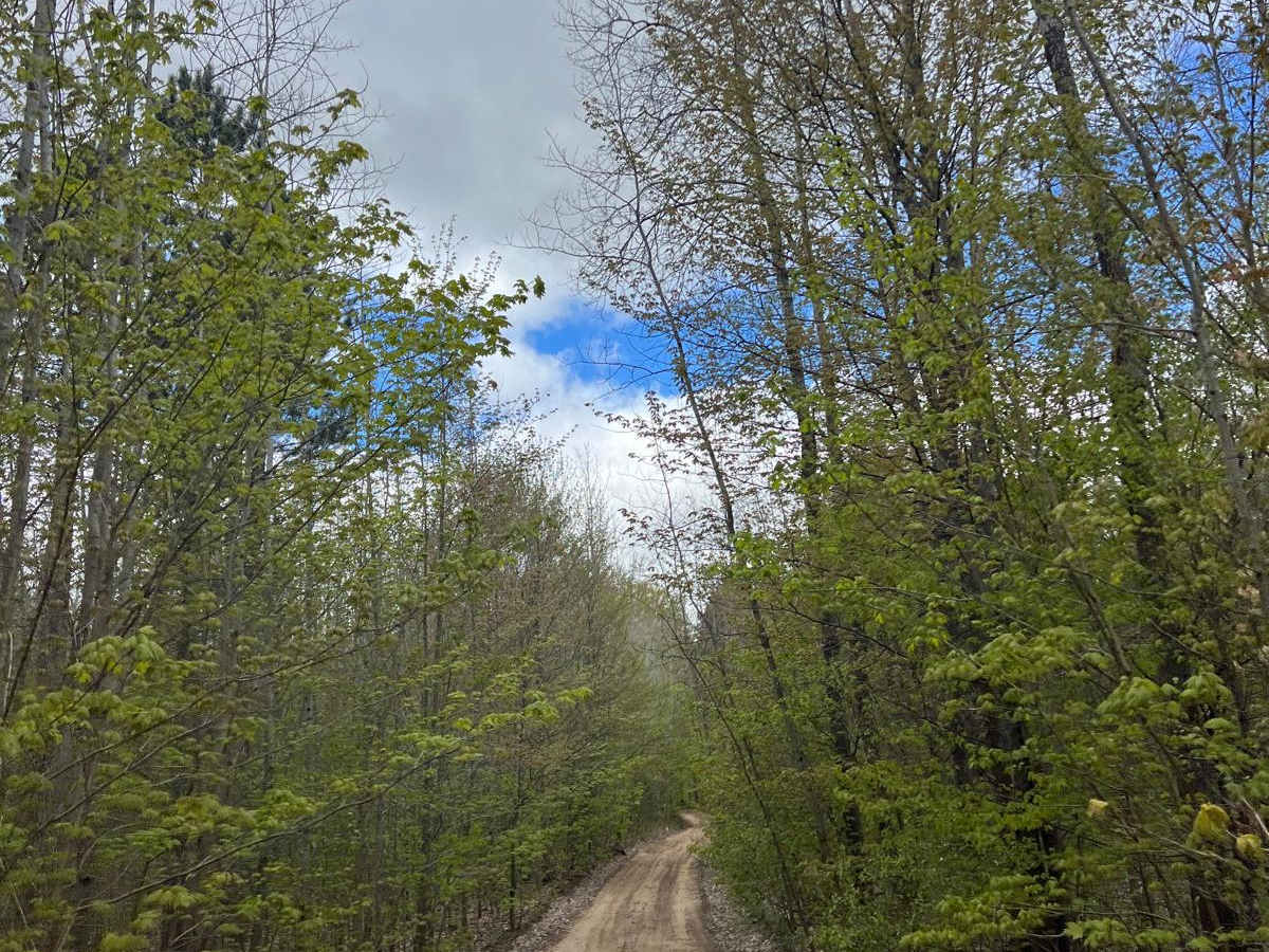 Matchett Trail photo 4