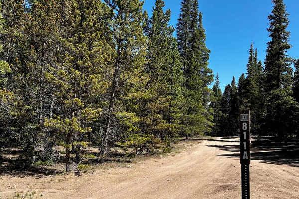 Lininger Ditch (FS 811A)