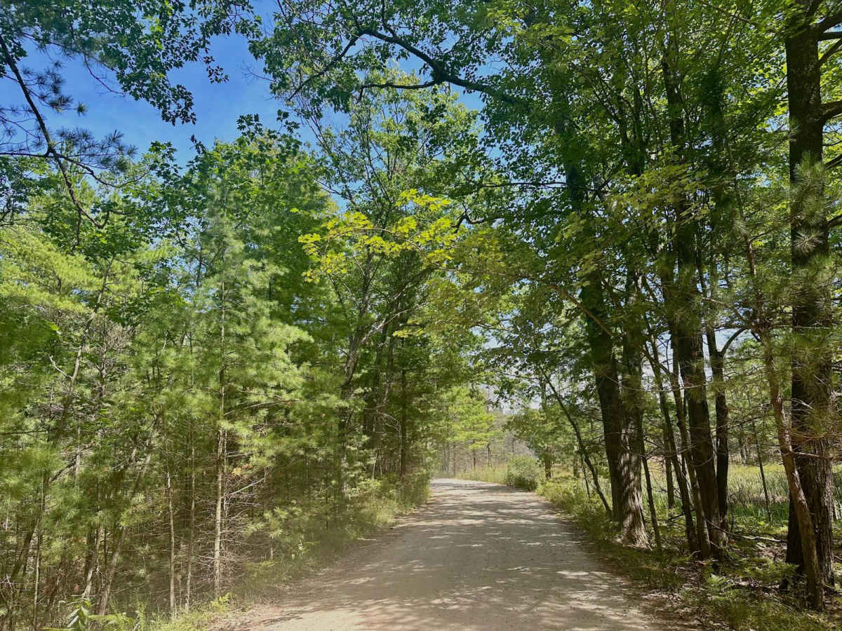 Peterson Road photo 6