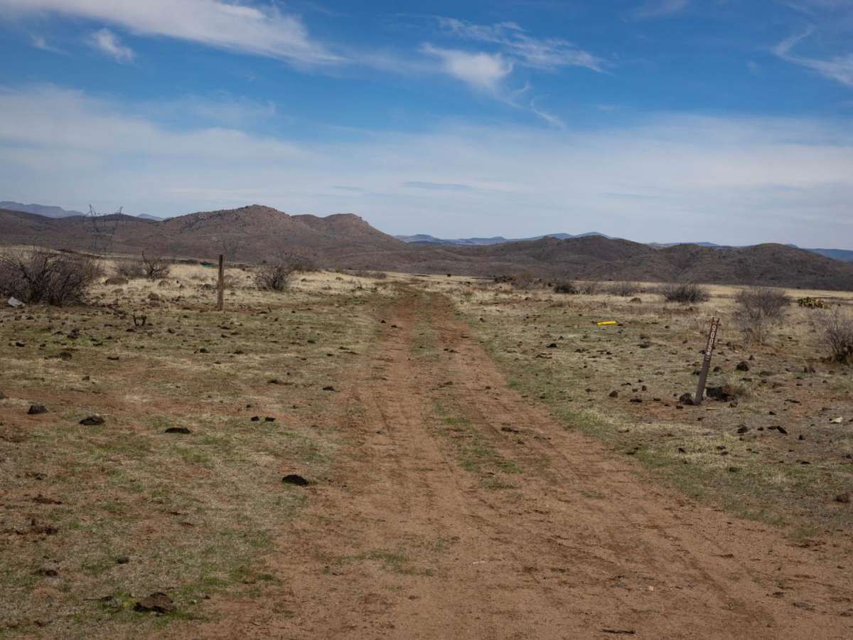 The Better Option / 31 N trail photo