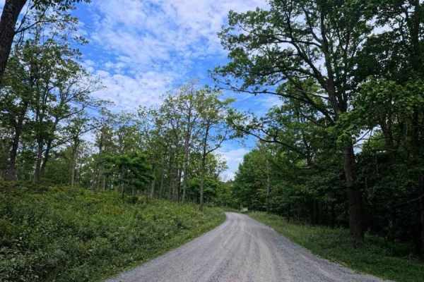 Huckleberry Road