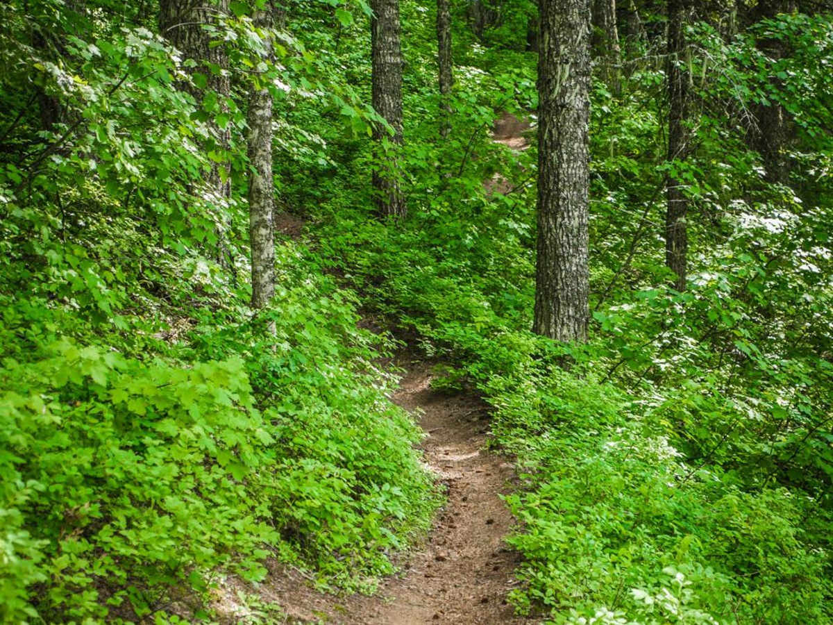Beason Meadows 228 (Part 2) photo 2