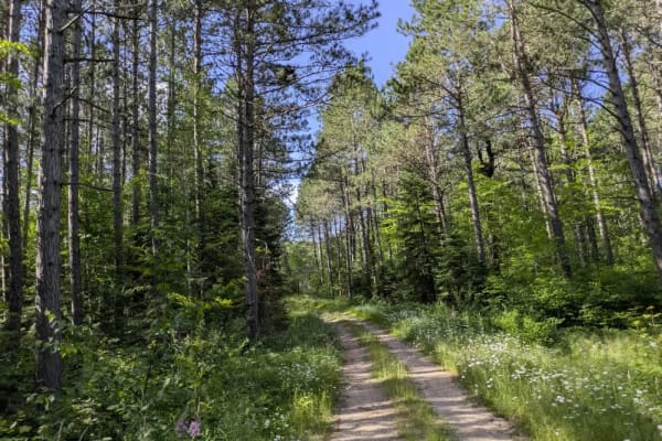 McNiven Spur C