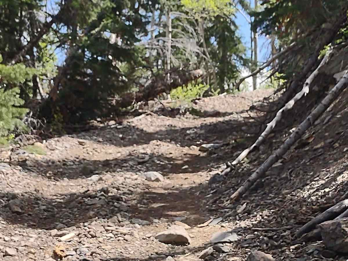 Cascade Creek Falls photo 5