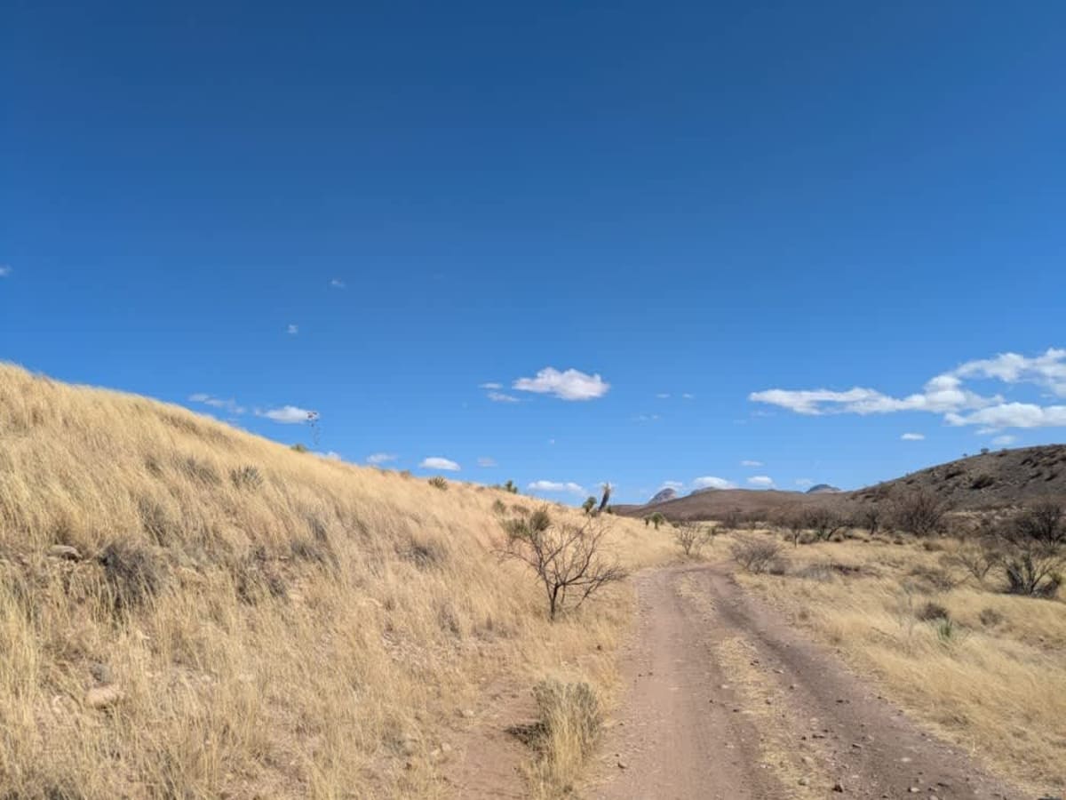 Canyon Road photo 4