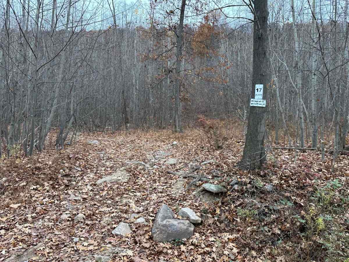 17 Black trail photo