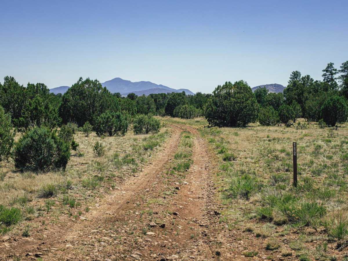 Pasture Mash trail photo
